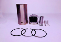 BFM2012 Engine Cylinder Liner Kit For EC210B Forlift Engine Spare Parts 04258253 Fitting Piston Rings